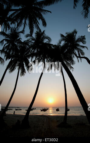 La silhouette des cocotiers encadrent la lueur coucher du soleil sur l'horizon à la plage de Ngapali Myanmar Banque D'Images