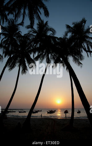 La silhouette des cocotiers encadrent la lueur coucher du soleil sur l'horizon à la plage de Ngapali Myanmar Banque D'Images