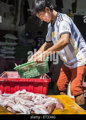 11 juin 2015 - Mahachai, Samut Sakhon, Thaïlande - un travailleur migrants birmans au marché de la crevette à Samut Sakhon Mahachai nettoie et sortes de calmars. Les militants ouvriers disent qu'il y a environ 200 000 travailleurs migrants en provenance du Myanmar (Birmanie) à l'emploi dans l'industrie de la pêche et des fruits de mer à Mahachai, un port de pêche d'environ une heure au sud-ouest de Bangkok. Depuis 2014, la Thaïlande a été un pays de niveau 3 sur le département d'état des rapport sur la traite des personnes (TIPS). Niveau 3 est le plus mauvais classement, étant un pays de niveau 3 sur la liste peut entraîner des sanctions. Pays de niveau 3 sont ''Les pays dont les gouvernements n'ont pas pleine Banque D'Images