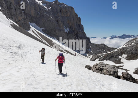 Les randonneurs traversant les champs de neige de printemps sur le chemin de la Vueltona au-dessous du Collado de Horcados Rojos, Picos de Europa en Espagne Banque D'Images