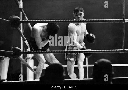 Boxeur de la masselotte jJackie Brown tente un retour comme un poids coq dans son défi à titre de compagnon stable Johnny King au Belle Vue, Manchester. Ici Brown est pris dans le coin avec une attaque brutale comme roi continue à l'assommer dans la 13e roun Banque D'Images