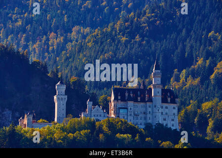 Germany, Bavaria (Bayern), Scwangau, le château de Neuschwanstein Banque D'Images