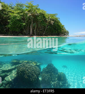 Deux images du côte tropicale au-dessus et au-dessous de la surface de la mer avec une végétation luxuriante et une barrière de corail sous l'eau, Costa Rica Banque D'Images