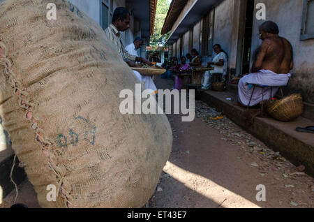 Les hommes et les femmes indiennes traditionnelles indiennes rouleaux appelés cigarettes beedies dans une une usine à Kerela Banque D'Images