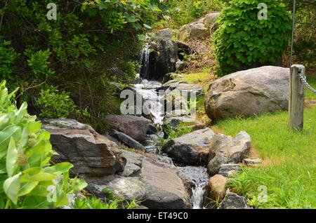 Chute dans un petit ruisseau Banque D'Images