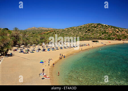 Plage de Vai, célèbre pour sa palmeraie, à proximité de la ville de Sitia, préfecture de Lassithi, est de la Crète, Grèce Banque D'Images