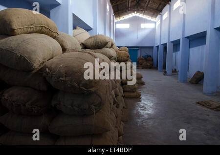 Grands sacs sont empilés dans un entrepôt de distribution de gingembre à fort Cochin, Kerala, Inde du Sud Banque D'Images