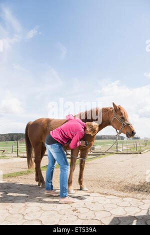Woman grooming un cheval au ranch Bavaria Allemagne Banque D'Images