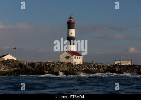 Le phare de Race Rocks 2 Banque D'Images