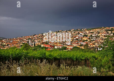 Archanes, une des plus belles villes de la partie continentale de Crète. Héraklion, Crète, Grèce Banque D'Images