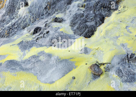 L'activité volcanique, Pohutu Geyser, Rotorua, Nouvelle-Zélande Banque D'Images