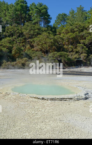 Waiotapu zone thermale, Rotorua, Nouvelle-Zélande, Banque D'Images