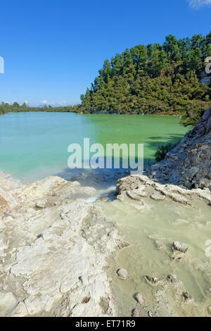 Lake, Ngakoro Waiotapu zone thermale, Rotorua, Nouvelle-Zélande, Banque D'Images