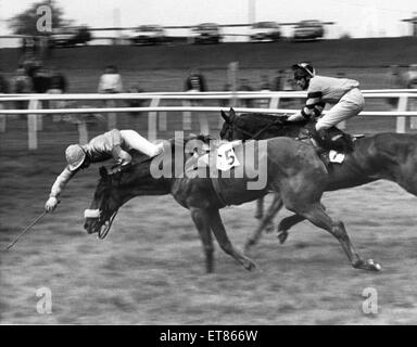 Alan Merrigan est sur le point de revenir sur terre avec une bosse qu'il tombe de Sid McQuaid, au cours de l'Vaux Brewery Novice Chase finale à Gosforth Park. 6 mai 1988 Banque D'Images