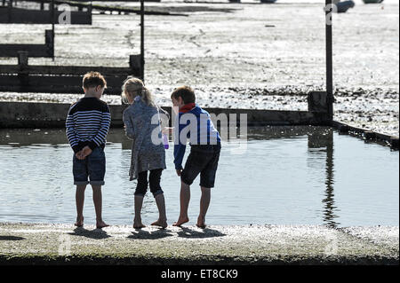 Enfants jouant sur l'estran à Leigh on Sea dans l'Essex. Banque D'Images