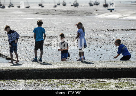 Enfants jouant sur l'estran à Leigh on Sea dans l'Essex. Banque D'Images