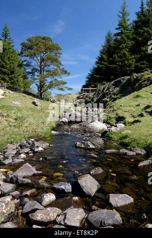 Dans la pittoresque campagne de Lake District proche de Blea Tarn Banque D'Images