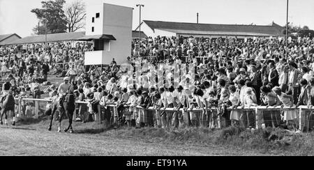 Chevaux et jockeys au trot au début vu par les amateurs de course anxieuse à l'Hippodrome de Hexham vers juillet 1978 Banque D'Images