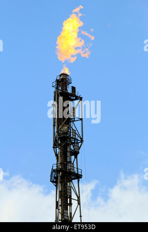 Feu de torche à gaz de raffinerie Banque D'Images