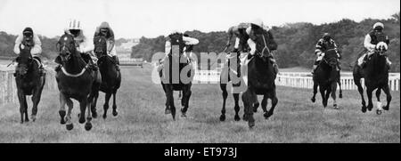 Une finition étanche comme Ferriby Hall (deuxième à gauche) remporte la Coupe de Gosforth Park, Sanu troisième à droite 26 Juin 1981 Banque D'Images