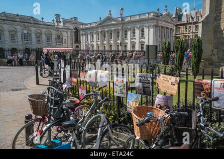 Les vélos enchaînés à des garde-corps, près de l'Université de Cambridge Sénat Chambre, Cambridge, Angleterre, Royaume-Uni Banque D'Images