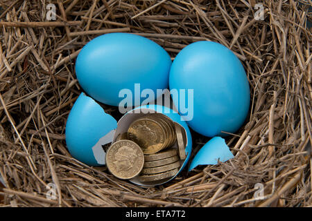 Laine bleu,oeufs dans un nid avec British pièces livre'l'éclosion'un UK finance argent coins'économie finances personnelles' stash'nest egg Banque D'Images