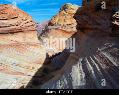 Scène de la magnifique formation géologique de grès coloré plié connu comme 'l'onde.' Nord Coyote Buttes, Vermillion Banque D'Images