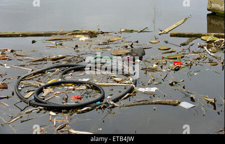 Zoé à Albert Dock. Port de Leith, Édimbourg, Écosse, Royaume-Uni, Europe. Banque D'Images