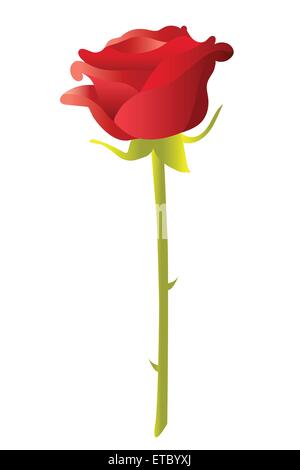 Illustration, vecteur, d'une rose rouge sur blanc. Illustration de Vecteur