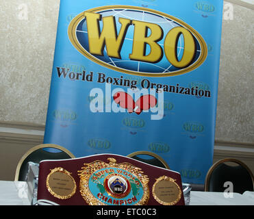 Invaincu boxeur russe Sergey Kovalev reçoit son champion WBO 'Super' avec ceinture : Atmosphère Où : San Juan, Puerto Rico, United States Quand : 16 Jan 2015 Credit : WENN.com Banque D'Images