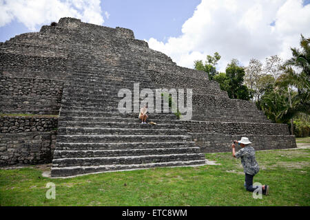 Une promenade journalière des croisiéristes, Chacchoben sur la Riviera mexicaine, a été réglée par les Mayas dès 200 BC. Banque D'Images