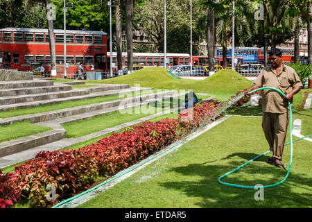 Mumbai Inde,fort Mumbai,Kala Ghoda,Fontaine florale,Hutatma Chowk,Martyr's Square,homme hommes,employé de ville,jardinier,tuyau,arrosage,plantes,India150302 Banque D'Images