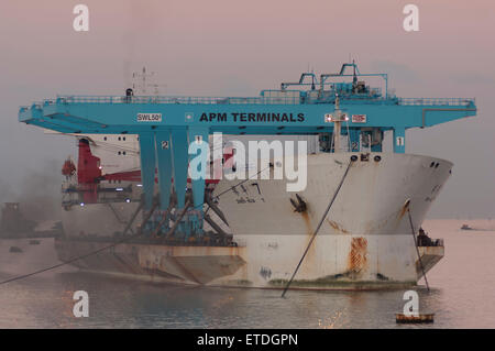 La lourde porte-charge Zhen Hua 7 à l'ancre prêt pour un passage en direction du Canal de Suez Banque D'Images