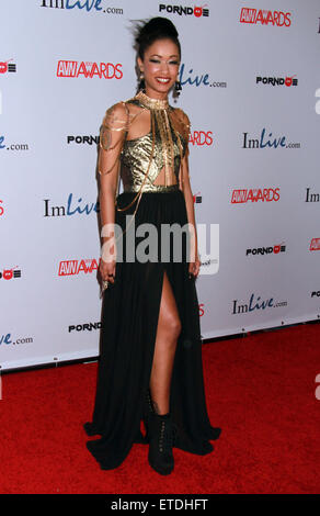 2015 AVN Awards tenue à l'intérieur de l'établissement Hard Rock Hotel & Casino - Arrivées avec la Peau : Diamond Où : Las Vegas, Nevada, United States Quand : 24 Jan 2015/WENN.com DJDM Crédit : Banque D'Images