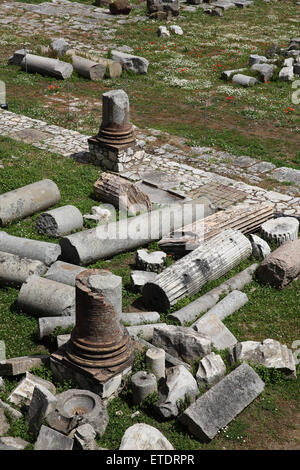 Ruines s'étendant dans le Forum de Rome. Banque D'Images