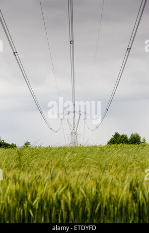 Pylônes de tension dans un champ de blé pendant un orage Banque D'Images