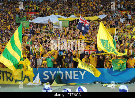 Championnat asiatique de football (AFC) - Final - Australie (2) v (1) Corée du Sud dispose d''atmosphère où : Sydney, Australie Quand : 31 Jan 2015 Credit : WENN.com Banque D'Images