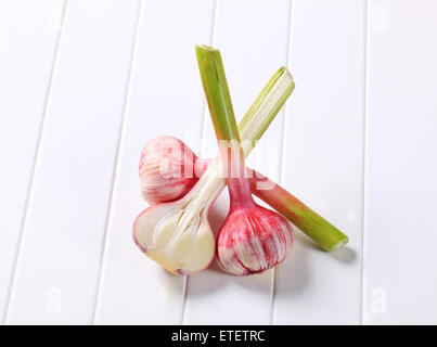 Trois ampoules de l'ail frais - studio shot Banque D'Images