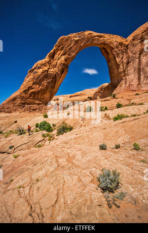 Le sentier de 1,6 km de Corona et Bow Tie arch arch démarre à partir de l'autoroute le long de la rivière Verte près de Moab. Banque D'Images