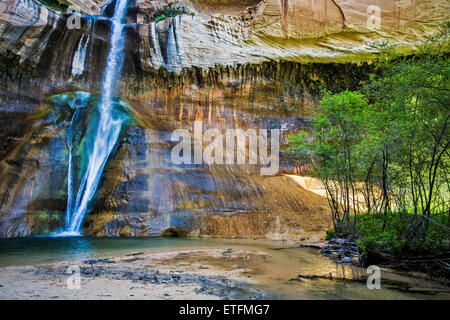 Le sentier de la baisse suit les chutes Crek Veau Escalante River à environ trois miles jusqu'à un spectaculaire canyon... Banque D'Images