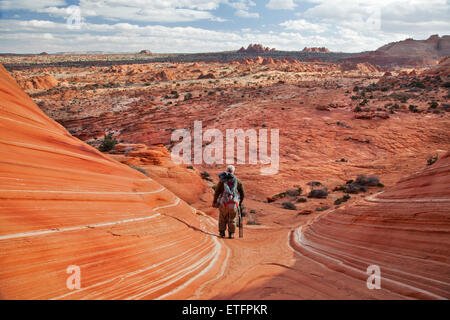 La vague et d'autres formations rocheuses colorées attirent de nombreux Promeneurs et touristes dans le Nord de la région de Coyote Buttes Paria Cany Banque D'Images