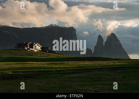 Mont Schlern / Sciliar, Alpe di Siusi, / Alpe di Siusi, le Tyrol du sud, Italie Banque D'Images