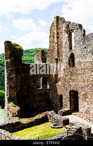 Ruines du château Ehrenfels Rüdesheim Hesse Allemagne Europe Banque D'Images