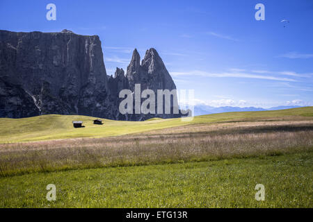 Vue imprenable sur la montagne Schlern (Sciliar) et l'Alpe di Siusi (Alpe di Siusi). Cols alpins, le Tyrol du Sud, Italie. Banque D'Images