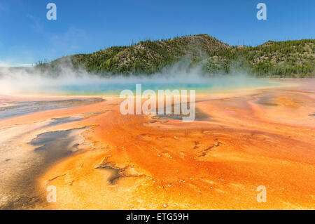 Beau geyser azurée Grand Prismatic Spring, entouré par des couches de bactéries, sur fond de ciel bleu. Banque D'Images