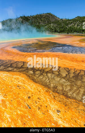 Beau geyser azurée Grand Prismatic Spring dans le Parc National de Yellowstone, vertical image Banque D'Images