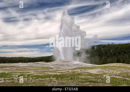 Éruption de l'Old Faithful Geyser à Yellowstone National Park, Wyoming, USA Banque D'Images