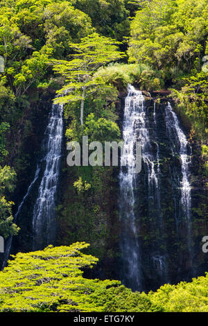 Les chutes de Opaekaa, Kauai, Hawaii, USA Banque D'Images