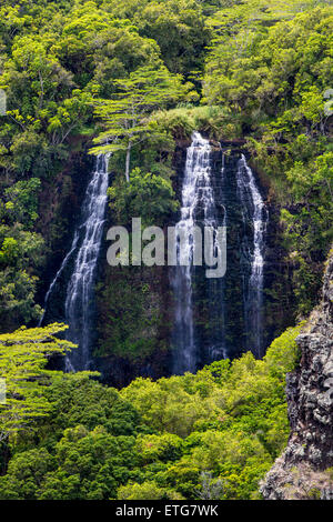 Les chutes de Opaekaa, Kauai, Hawaii, USA Banque D'Images