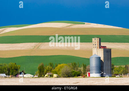 Les cultures dans les champs marqués d'un silo à grains Banque D'Images